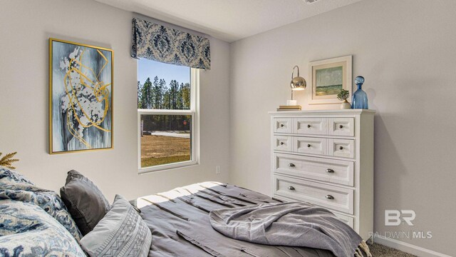 1040 Hayward Loop, Foley, AL 36535 - bedroom featuring carpet