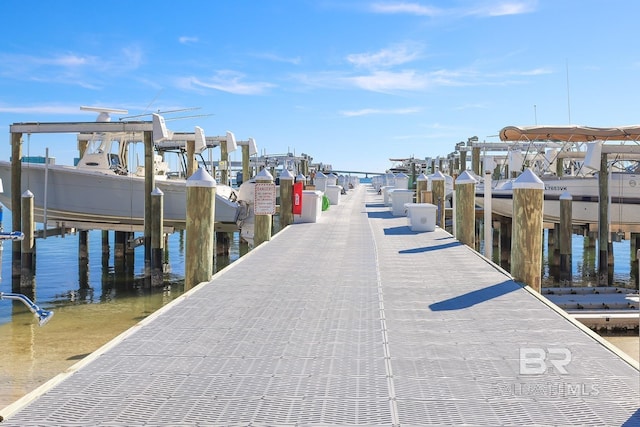 dock area with a water view