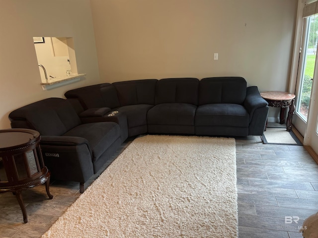 living room with hardwood / wood-style flooring