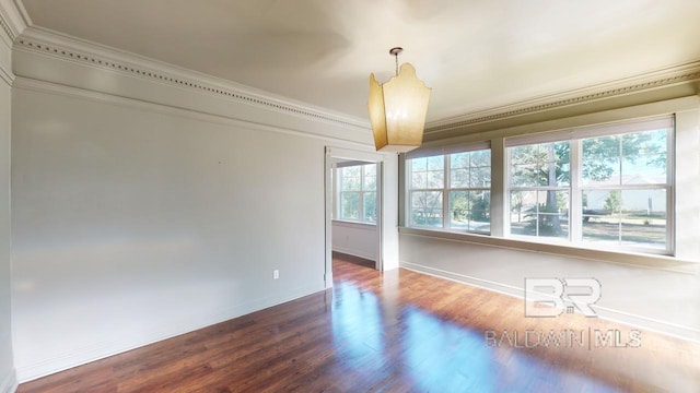 empty room featuring a wealth of natural light, wood-type flooring, and ornamental molding