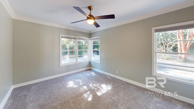 unfurnished room featuring carpet, crown molding, and a wealth of natural light