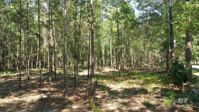 LOT1A Harris St, Atmore, AL 36502