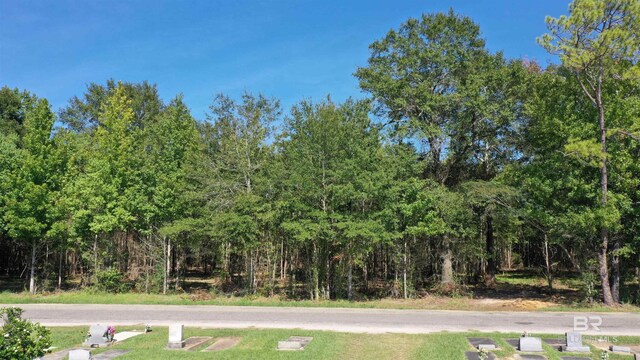 LOT1A Harris St, Atmore, AL 36502