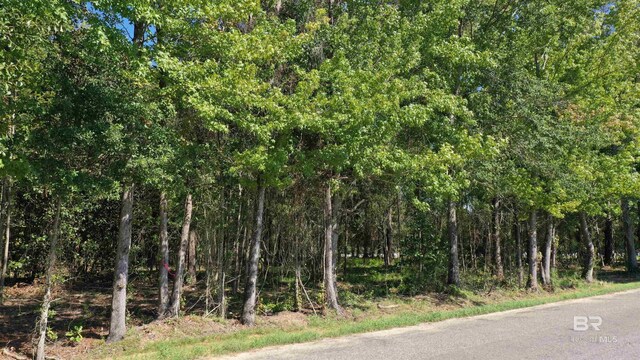 LOT1A Harris St, Atmore, AL 36502