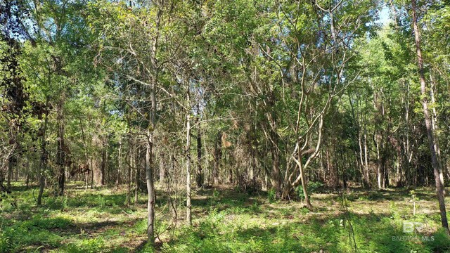 LOT1A Harris St, Atmore, AL 36502