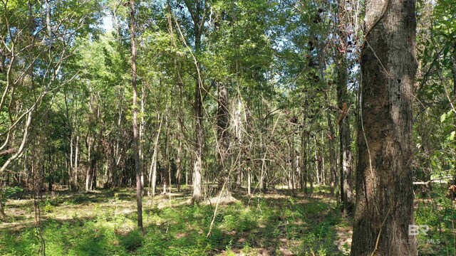 LOT1A Harris St, Atmore, AL 36502