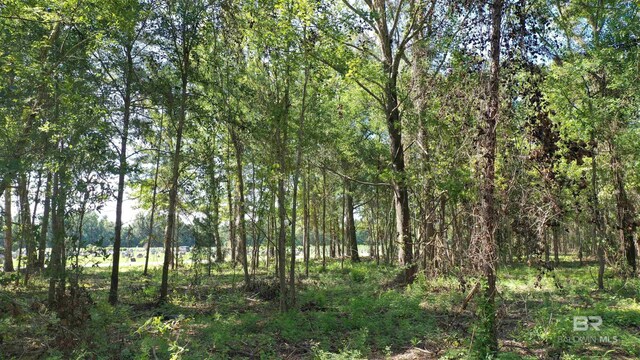 LOT1A Harris St, Atmore, AL 36502
