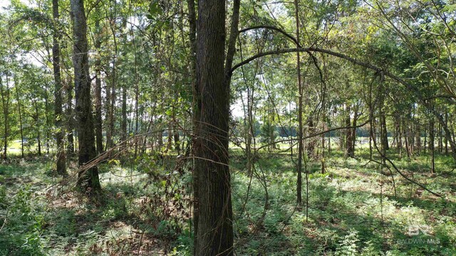 LOT1A Harris St, Atmore, AL 36502
