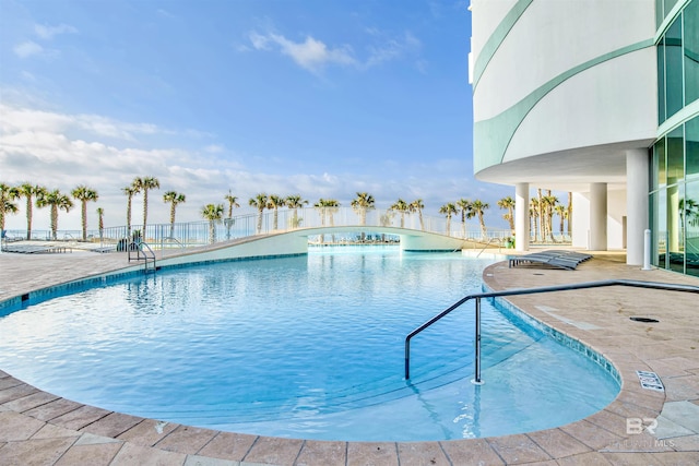 view of pool featuring a patio