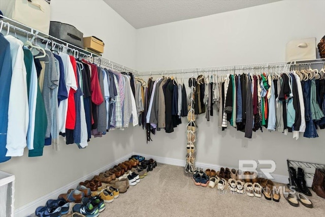 walk in closet featuring carpet floors