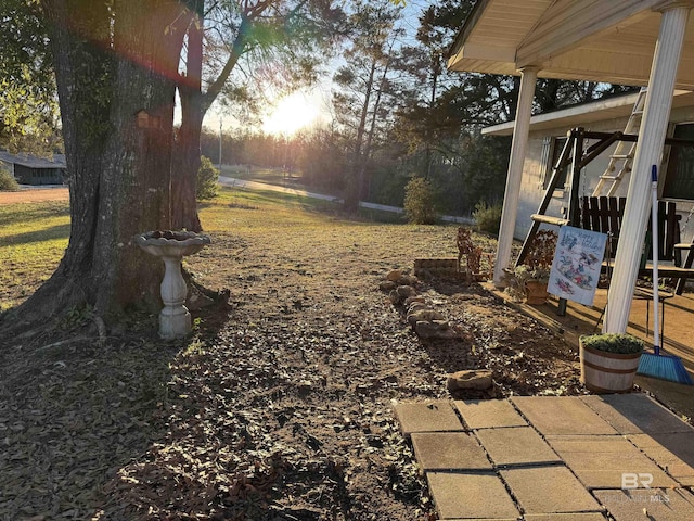 view of yard