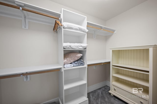 spacious closet with dark carpet