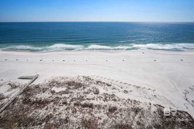 bird's eye view featuring a water view and a view of the beach