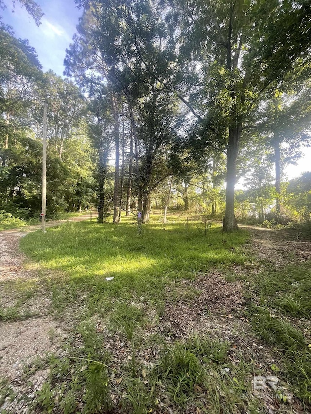 7623 Old Shell Rd, Mobile, AL 36608