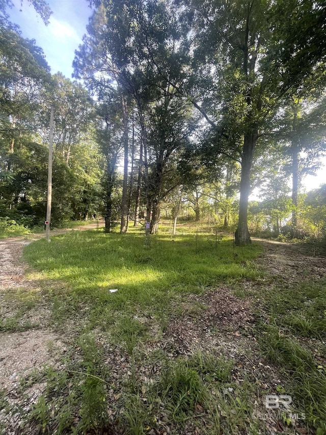 7623 Old Shell Rd, Mobile, AL 36608