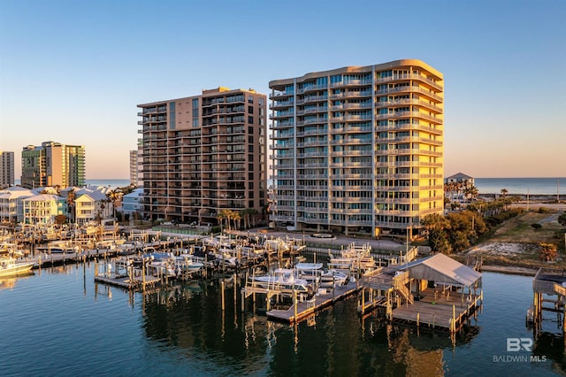 dock area with a water view