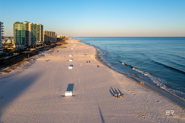 property view of water featuring a city view and a beach view