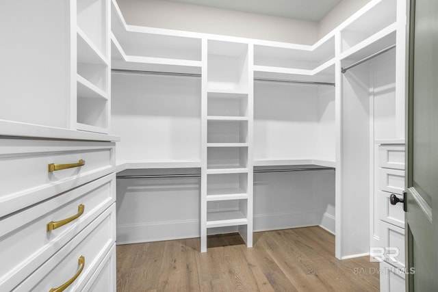 845 Inlet Cir, Gulf Shores, AL 36542 - walk in closet with wood finished floors