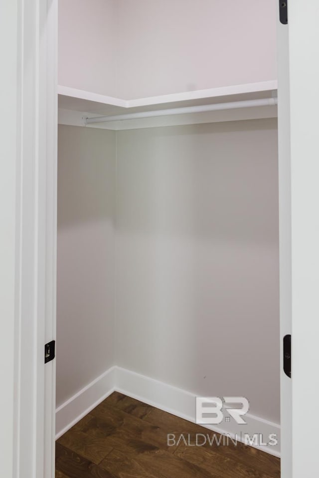 view of closet