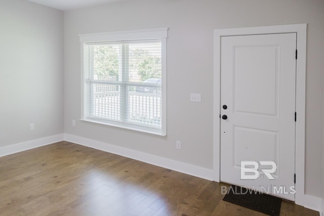 foyer entrance with hardwood / wood-style flooring and a healthy amount of sunlight