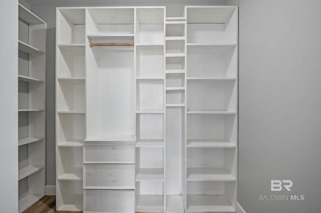 1206 Crown Walk Dr, Foley, AL 36535 - spacious closet with hardwood / wood-style flooring