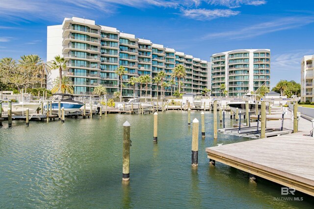 dock area with a water view