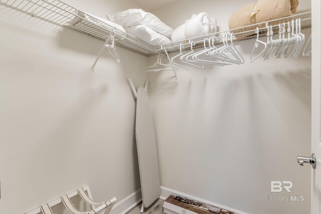 401 E Beach Blvd Unit 1302, Gulf Shores, AL 36542 - view of walk in closet
