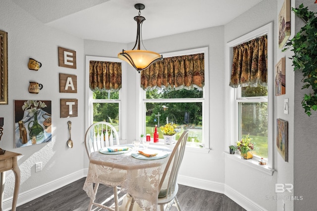 23038 Ridgewood Dr, Robertsdale, AL 36567 - dining space featuring dark wood-style floors, baseboards, and healthy amount of natural light