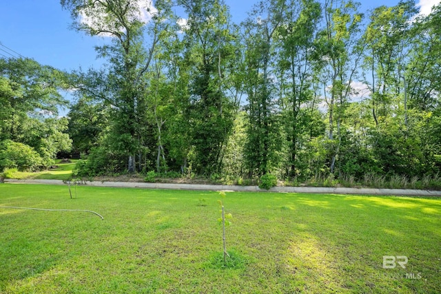 23038 Ridgewood Dr, Robertsdale, AL 36567 - view of grassy yard