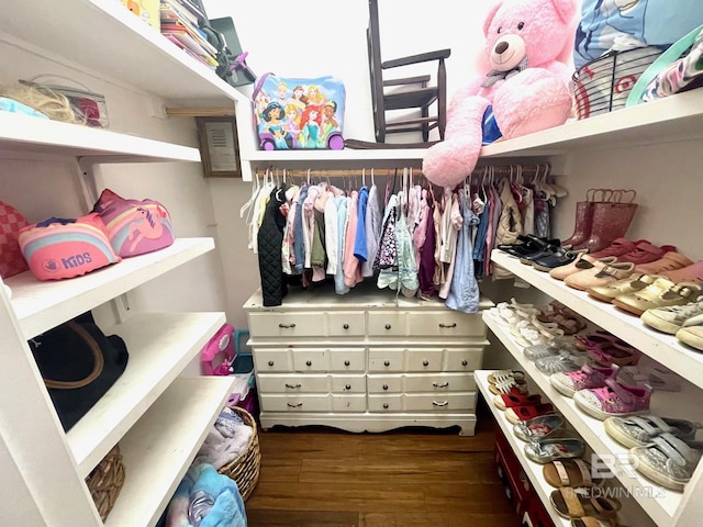 1203 Captain Oneal Dr, Daphne, AL 36526 - spacious closet featuring dark wood-type flooring