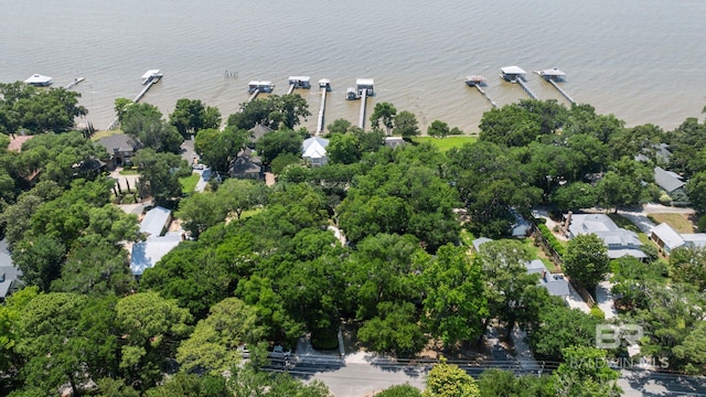 1203 Captain Oneal Dr, Daphne, AL 36526 - aerial view of property and surrounding area with a large body of water and nearby suburban area
