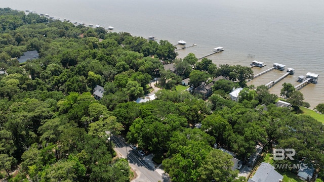 1203 Captain Oneal Dr, Daphne, AL 36526 - aerial view of property and surrounding area with a large body of water