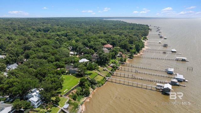 1203 Captain Oneal Dr, Daphne, AL 36526 - bird's eye view of a forest and a large body of water