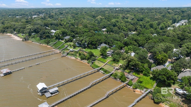 1203 Captain Oneal Dr, Daphne, AL 36526 - aerial view of property and surrounding area with a forest