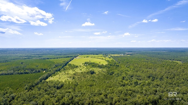 31512A N River Rd, Loxley, AL 36551