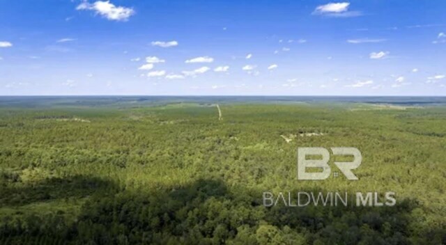 31512A N River Rd, Loxley, AL 36551