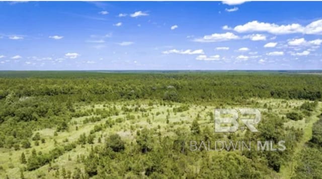 31512A N River Rd, Loxley, AL 36551
