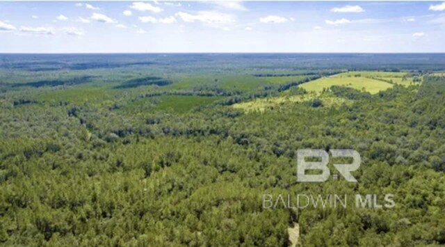 31512A N River Rd, Loxley, AL 36551