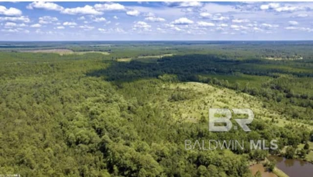 31512A N River Rd, Loxley, AL 36551