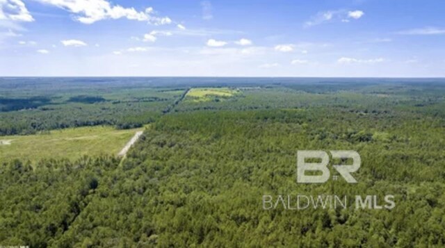 31512A N River Rd, Loxley, AL 36551
