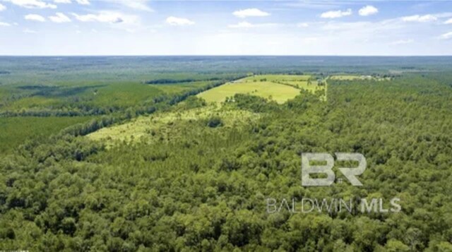 31512A N River Rd, Loxley, AL 36551