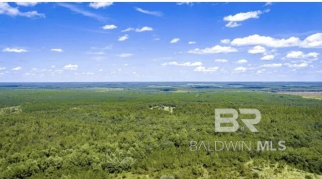 31512A N River Rd, Loxley, AL 36551