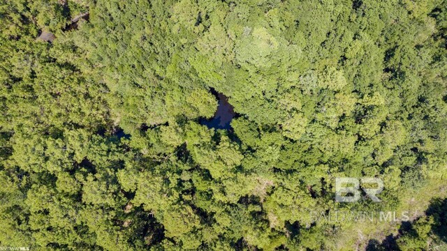 31512A N River Rd, Loxley, AL 36551