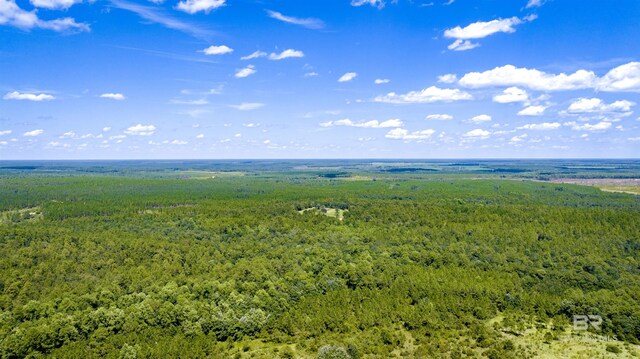 31512A N River Rd, Loxley, AL 36551