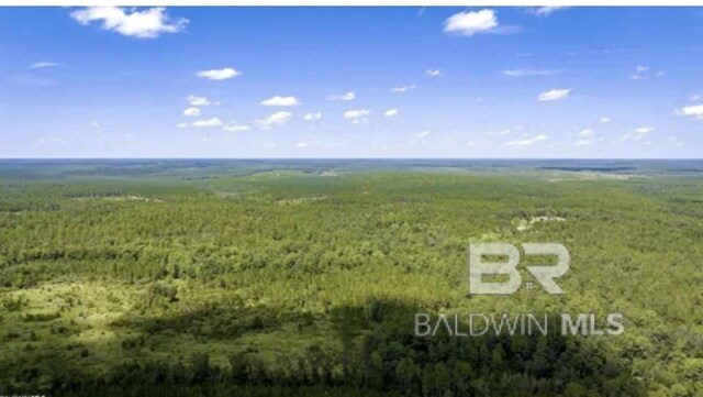 31512A N River Rd, Loxley, AL 36551