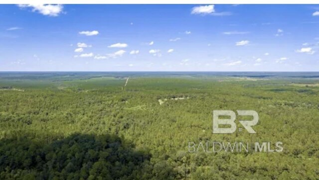 31512A N River Rd, Loxley, AL 36551