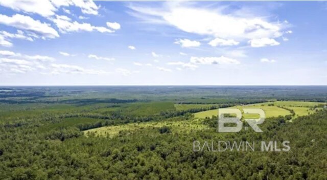 31512A N River Rd, Loxley, AL 36551