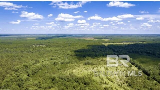 31512A N River Rd, Loxley, AL 36551