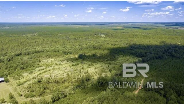31512A N River Rd, Loxley, AL 36551