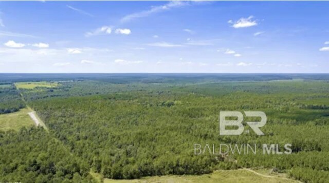 31512A N River Rd, Loxley, AL 36551